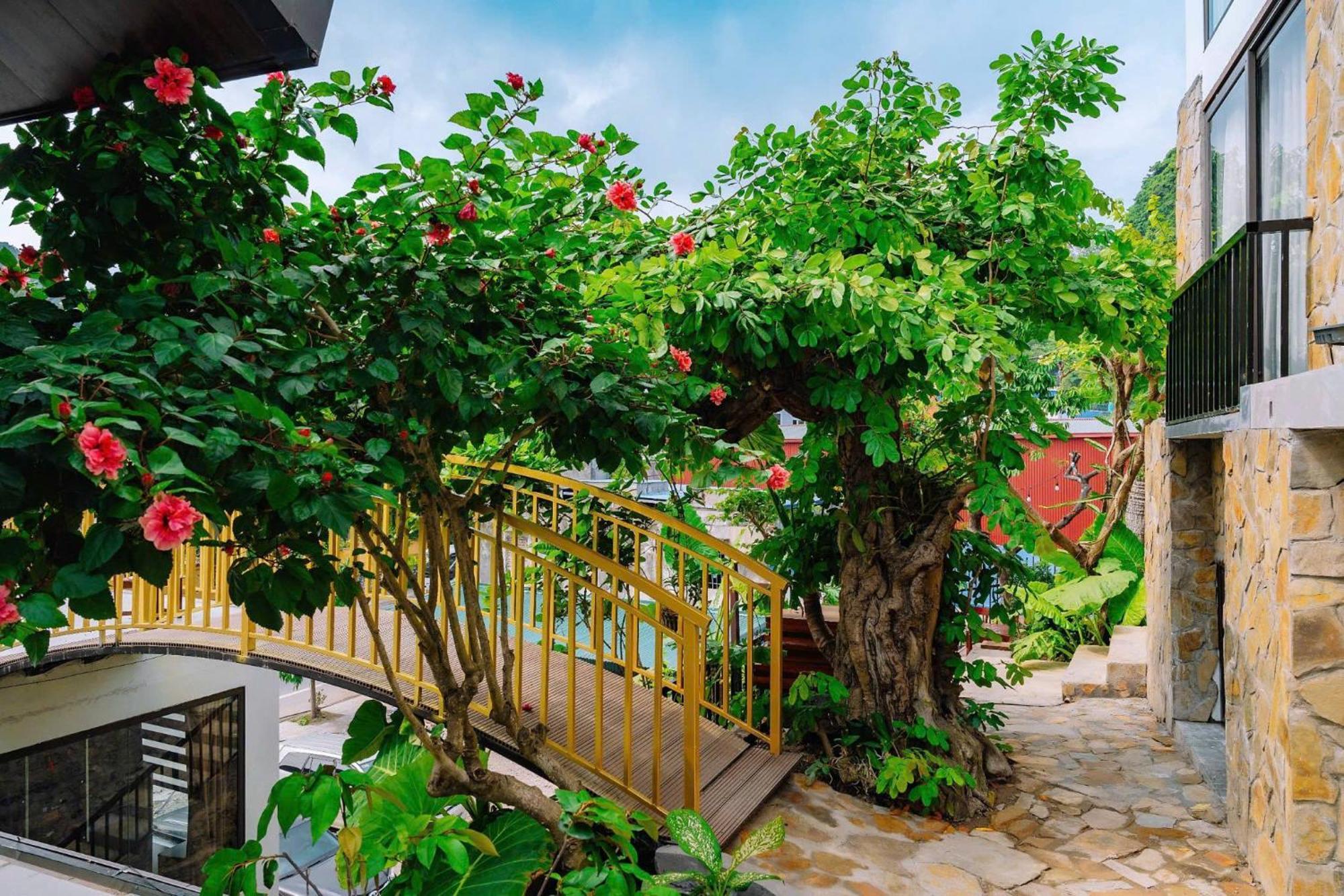 Ecorest Villa Cat Ba Chan Chau Exterior photo